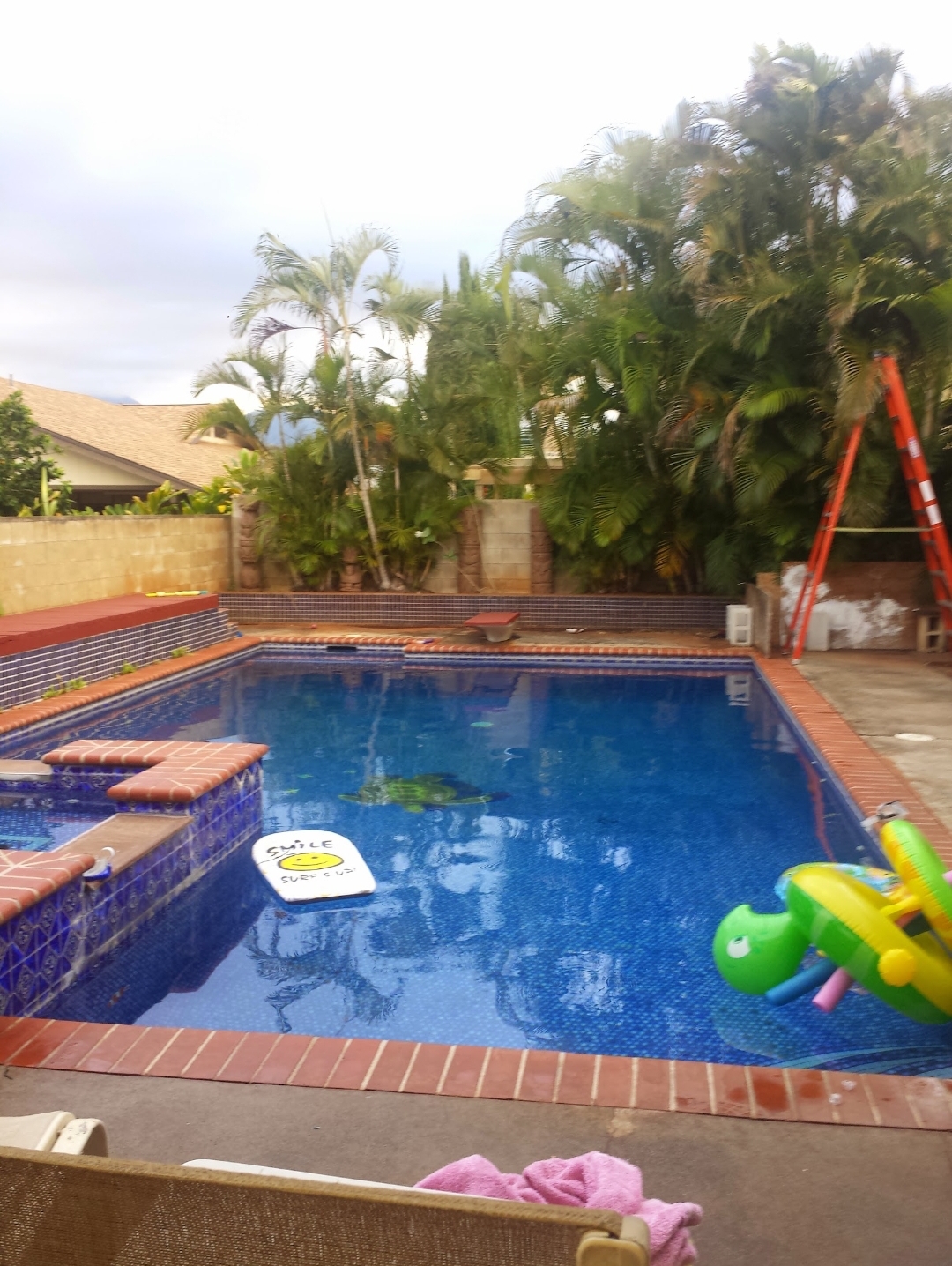 Backyard pool with tropical palms, toys, and a ladder during service