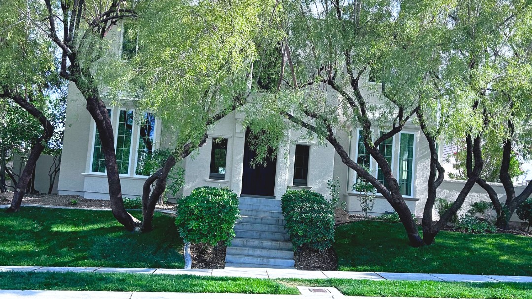 Home front yard shaded by mesquite trees with green lawn and trimmed shrubs