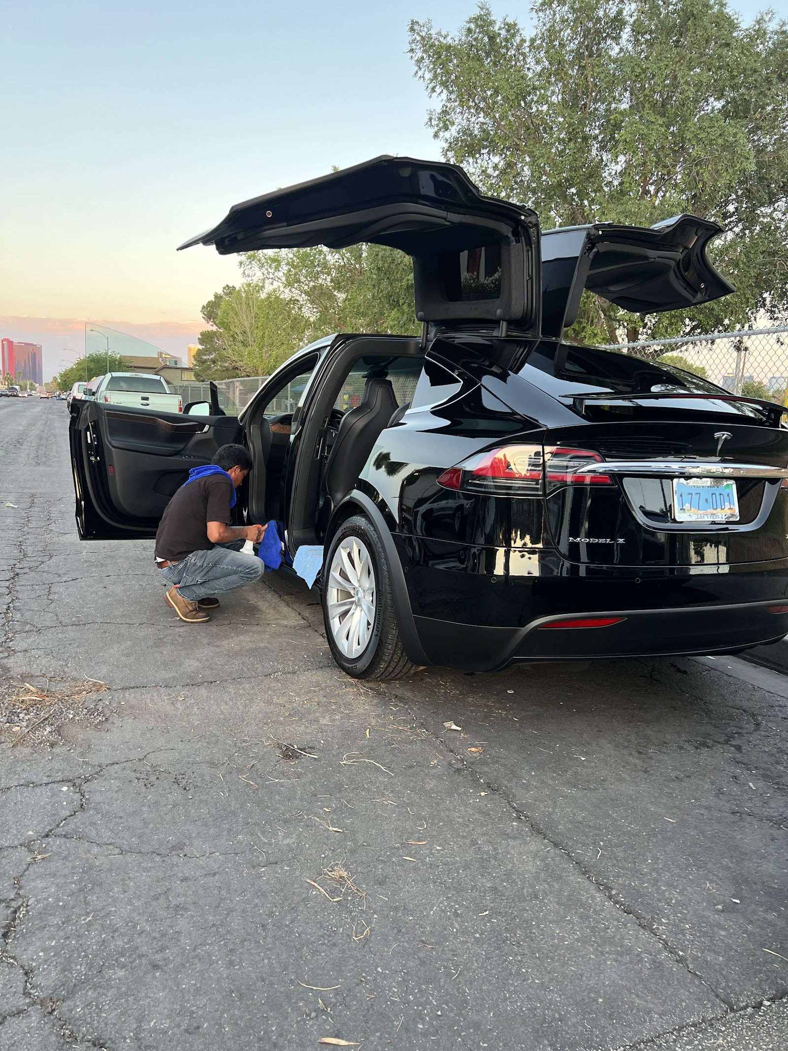 Freshly detailed black Tesla Model X with falcon doors open at sunset
